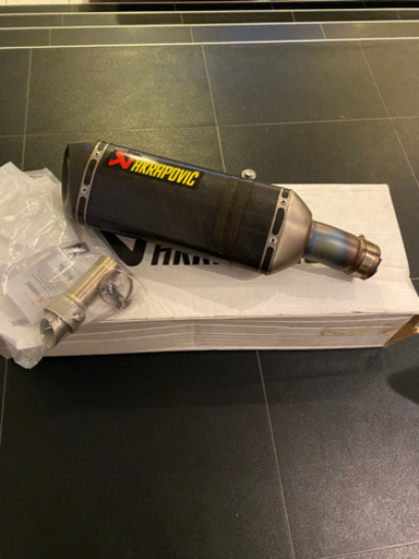 アクラポビッチ　スリップオン　カーボン