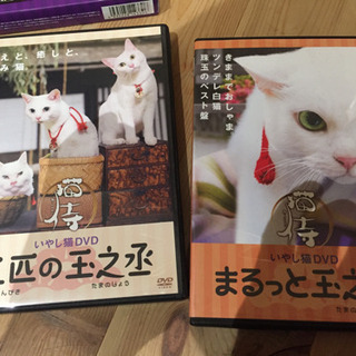 猫侍 DVDセットの画像