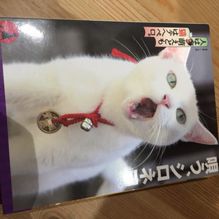 猫侍 DVDセットの画像