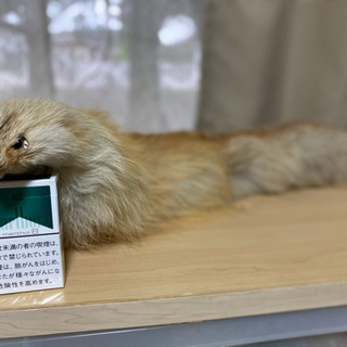 値下げします‼️本物です‼️来冬使って下さい、あったかいですよ😊マフラーです👍の画像