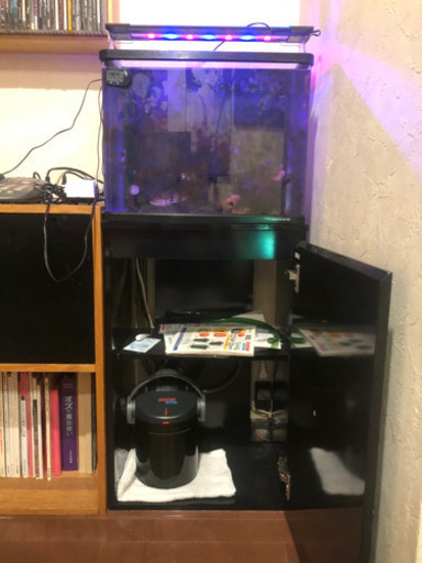 【価格交渉可】45cm水槽セット。エーハイム エココンフォート2232 引取り願い。