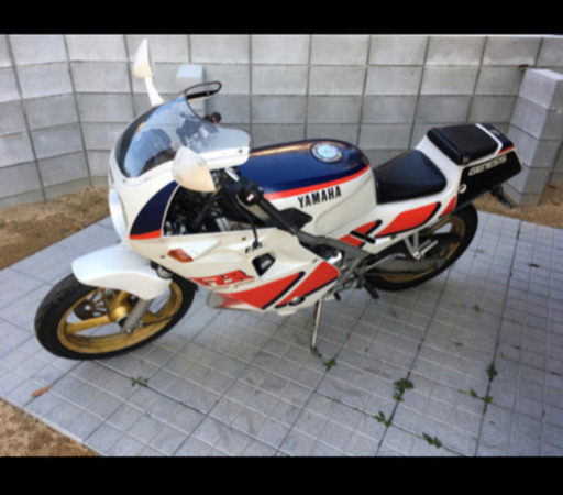 実動✨FZR250 低走行