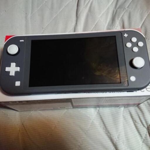 その他 NintendoSwitchLite