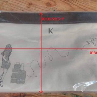 新品 未使用 未開封 資生堂でもらった化粧ポーチの画像