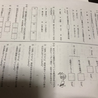 がんばる舎　中2 エースの画像