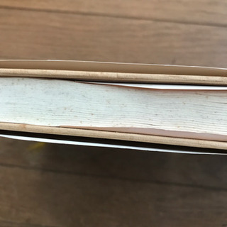 渡辺淳一　　化身　上下巻セットの画像