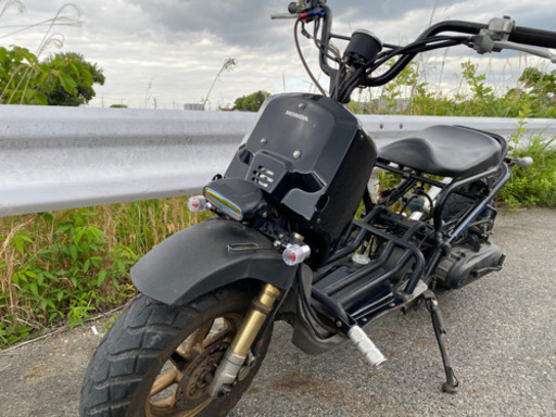 ズーマー　AF55 付属部品アリ！