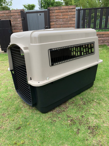 バリケンウルトラL  大型犬　6月5日まで