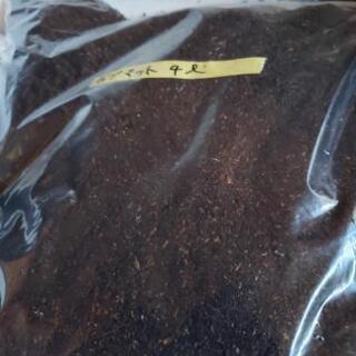 国産カブトムシ幼虫10匹！とカブト幼虫育成マット