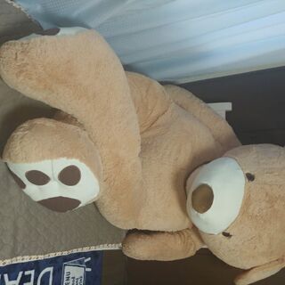 特大クマのぬいぐるみ　コストコ