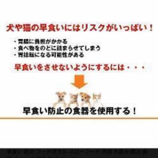 お値下げ犬用早食い防止グリーンの器!画像4→右下のMサイズ!洗い易いです!の画像