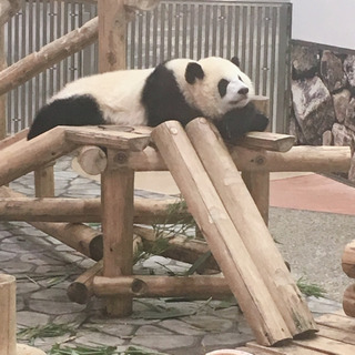女性のお友達募集です