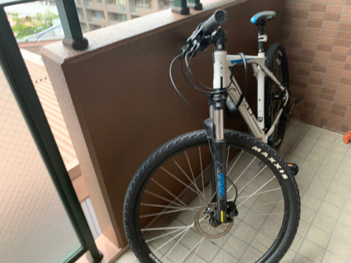GT カラコラム　29インチ