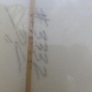 e.p.sロングボード フィン DAKINEソフトケース ｘｍリーシュコードの画像