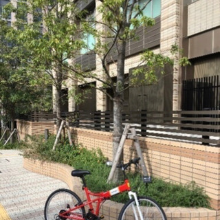 ⭐️海外ブランド⭐️ 折りたたみ自転車　チョイノリに最高