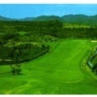 ゴルフ女子⛳️ラウンド仲間募集