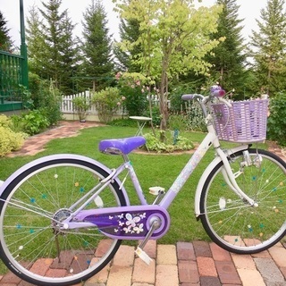 子ども自転車ブリヂストン エコパル24型 2021年購入(1年使用