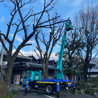 外構工事　庭の手入れ業　未経験でも、一緒に働きませんか（所沢市の画像
