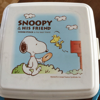 未使用品のピクニックセットの画像