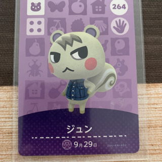 amiiboカード ジュン アミーボカード