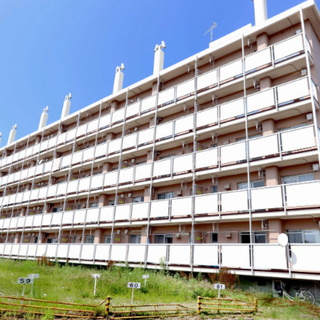 ❁入居費用０円❁　賃料２ヶ月間無料キャンペーン実施中♪　保証会社...