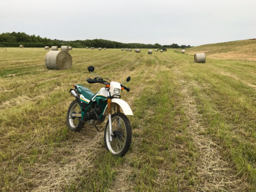 ヤマハ　セロー225  林道探検などに！