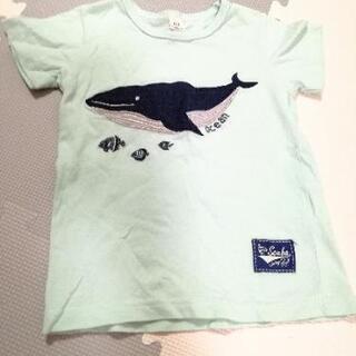 223*ラキエーべ くじらさんTシャツ