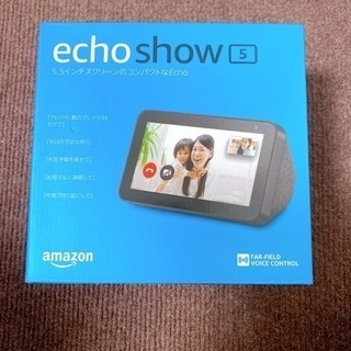 Echo Studio 中古 箱 取説 無し