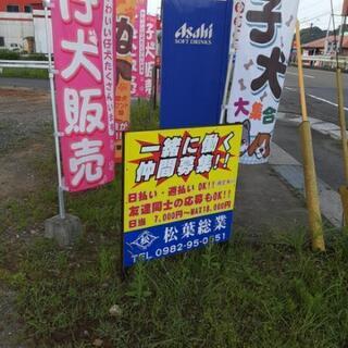 仕事仲間募集👍友達同士も女性もオッケー👌の画像