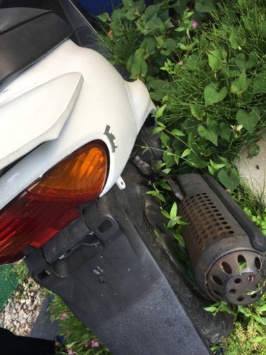 える dio af34 注文 DIO AF34 HONDA DIO AF34 HONDA DIO ZX (AF34⁄AF35