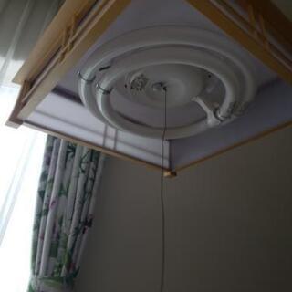 電気