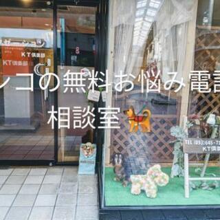 わんこのお悩みお電話無料相談室
