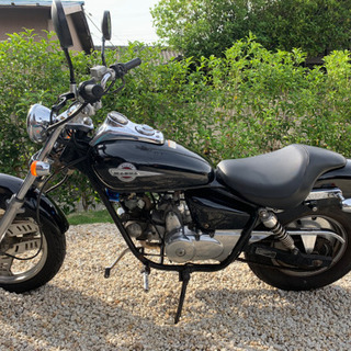 マグナ50 （88cc）の画像