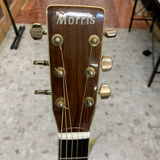 Morris モーリス アコースティックギター J24