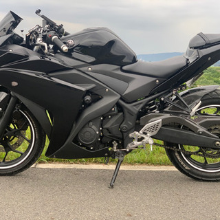 R25の画像