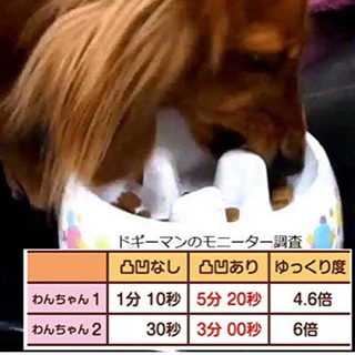 ドギーマン　ゆっくりデコボコ食器 犬用 M サイズの画像