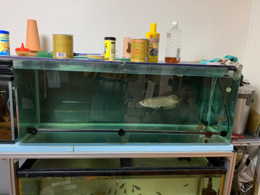 1200✖️450 オールガラス水槽