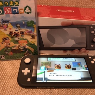 新品未使用！ Nintendo switch lite ニンテンドー　スイッチ　ライトの画像