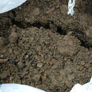 庭の土差し上げます(^.^)の画像