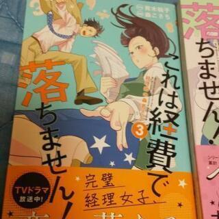 （マンガ）これは経費で落ちません！ ４巻までの画像