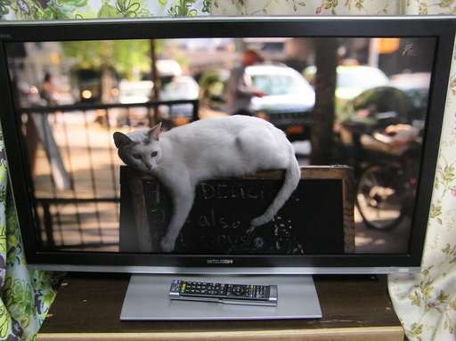 ◇取引終了 三菱32型テレビ LCD-32MX40 ☆1週間の動作保証致します。