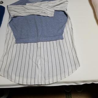 春先。秋先。です。