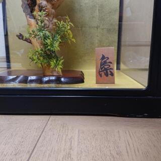 ミミズク　剥製　美品 035-2s.jpg