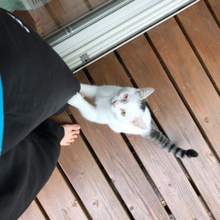 とっても甘えん坊さんです