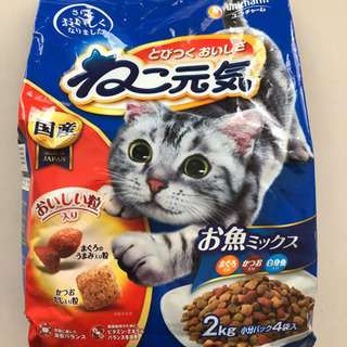 キャットフード　さしあげます♪