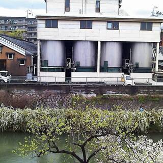 フリーマーケット＆手作りフリマ＆室内キャンプメンバー募集 - 京都市