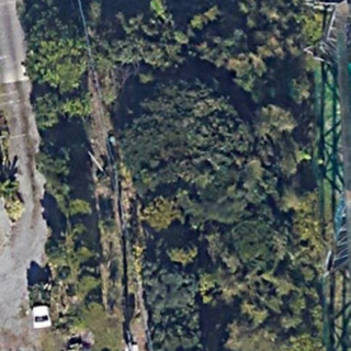立木　杉　松　広葉樹　など