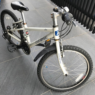 ルイガノ　ジュニア　キッズ　２２インチ　小学生の画像