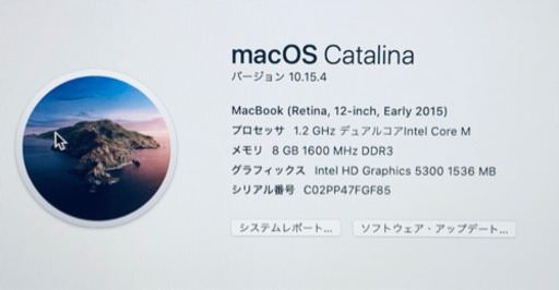 取引中:2015/バッテリー交換表示/MacBook 12インチ/8GB/256GB