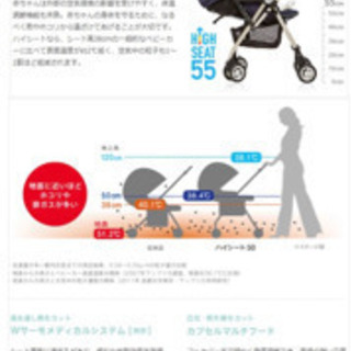 アプリカ ソラリア タッジオボルドーの画像